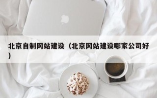 平顶山北京自制网站建设（北京网站建设哪家公司好）